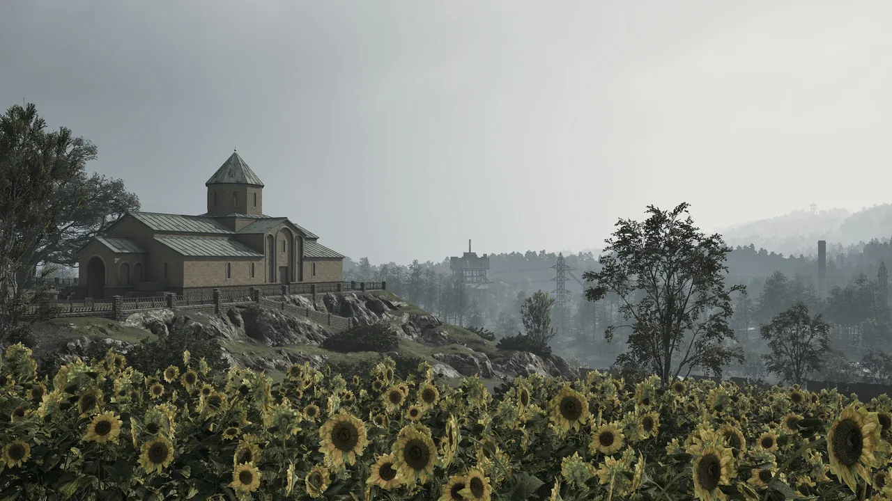 Bakurani Overcast & fog